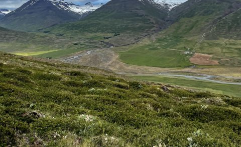 Nýtt verkefni - september-október, sex ferðir