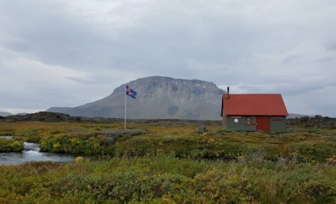 Sjálfboðaliðar óskast um næstu helgi 17.-19. júní
