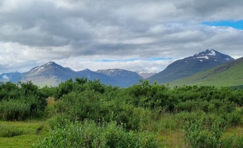 Gengið inn í haustið með FFA