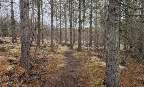 Næsta ferð: Barna- og fjölskyldu-Páskaeggjapartý