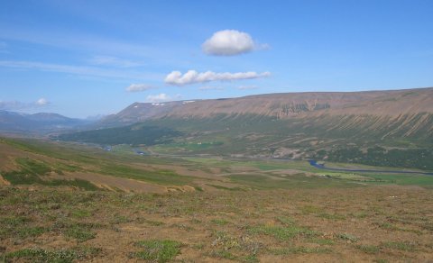 Gönguvika 18.-22. júní - ferðin í kvöld - Vaglaskógur