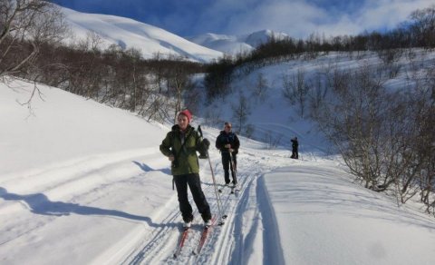 Næsta ferð 3. febrúar: Vaglaskógur
