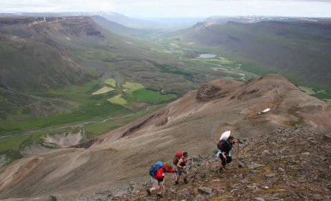 Næsta ferð 13. júlí: Torfufell í Eyjafirði