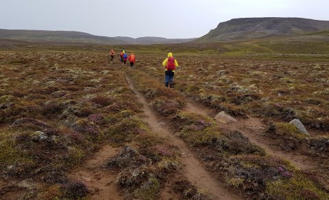 COVID-2019 / Ferðir á vegum FFA næstu vikurnar