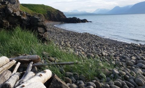 Opið hús 4. nóvember n.k.