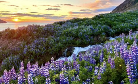 Fréttabréf FFA júlí 2023