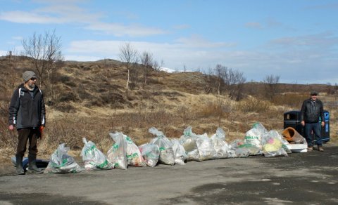 Stóri plokkdagurinn 2024