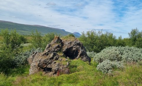 Næstu ferðir: Gengið um Kambskarð og rafhjólaferð á fjallahjólum