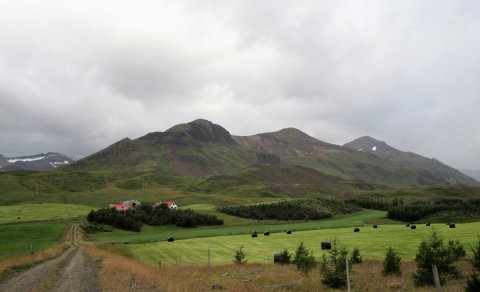 Næsta ferð: Hólafjall í Öxnadal 6. júlí
