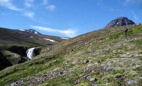 Næsta ferð 1. ágúst: Vesturárdalur-Kóngsstaðadalur