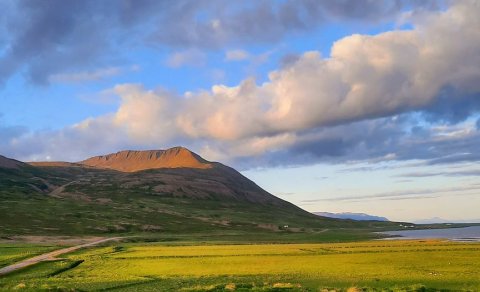 Næsta ferð 17. ágúst: Gusthnjúkur á Höfðaströnd