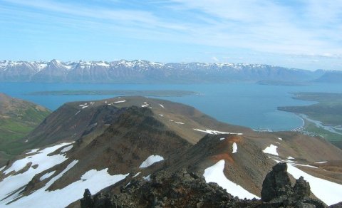 Næsta ferð 8. júlí: Grímubrekkur við Dalvík