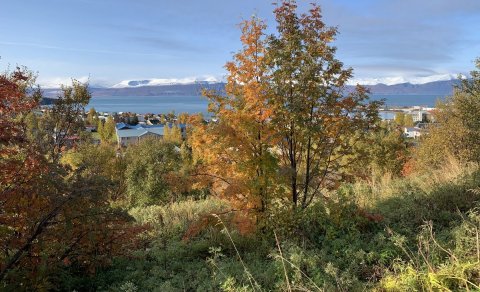 Næsta ferð 1. september: Húsavík - Botnsvatn