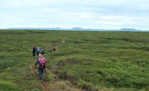 Næsta ferð 15. ágúst: Bláskógavegur