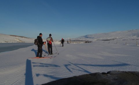 Minnum á næstu ferð: Bakkar Eyjafjarðarár