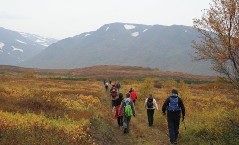 Næsta ferð 12. september: Skuggabjargaskógur-haustlitaferð