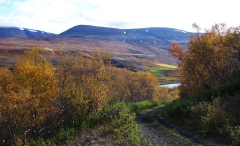 Næsta ferð 27. september: Skuggabjargaskógur í Fnjóskadal - haustlitaferð