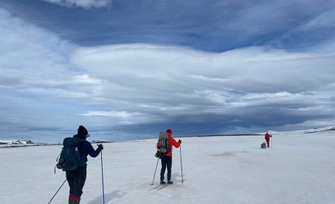 Fréttabréf FFA mars 2024