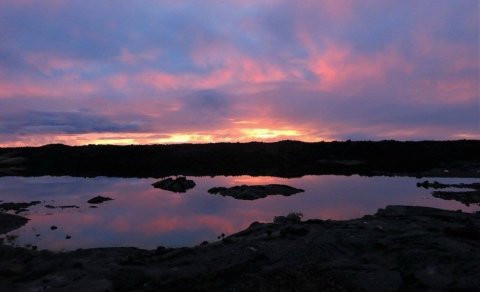 Fréttabréf FFA september 2023