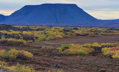 Næsta ferð 24. maí: Búrfellshraun og nágrenni