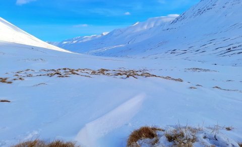 Kynning á skíðagönguferðum FFA 2023