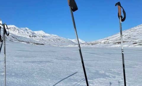 Næsta ferð 10. febrúar: Skíðadalur