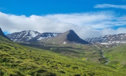 Næsta ferð 24. ágúst: Dýjafjallshnjúkur