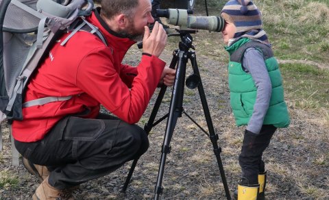 17. maí: Fuglaskoðunarferð fyrir börn