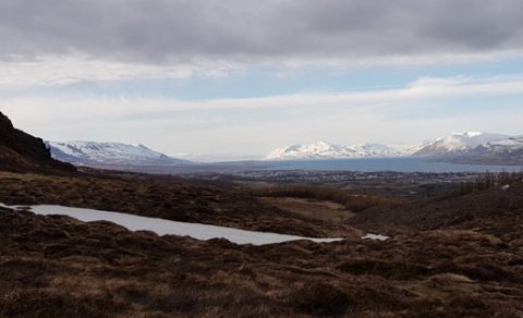 Næsta barna- og fjölskylduferð 19. ágúst: Berjaferð