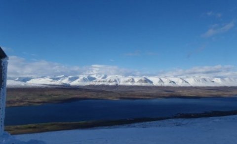 Ný ferð 6. júní: Galmaströnd