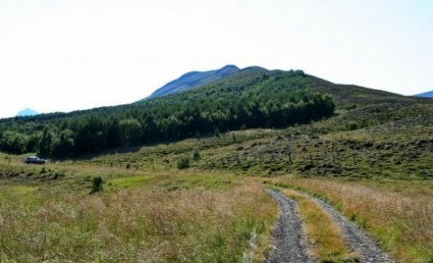 Næsta ferð 3. júlí: Trjá- og blómaskoðunarferð í Hörgárdal