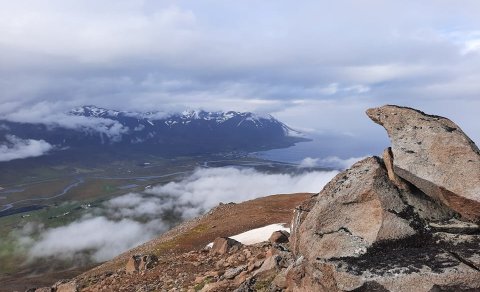 Næsta ferð 12. september: Dagmálanibba