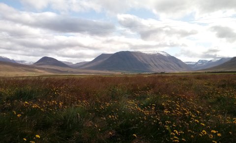 Næsta ferð 11. júní: Elliði í Hjaltadal í Skagafirði