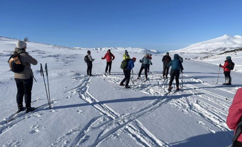 Fréttabréf FFA desember 2024