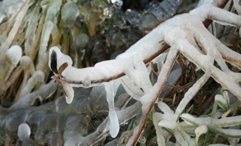 Næsta ferð 1. janúar: Út í óvissuna á nýársdag