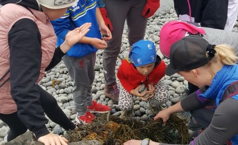 Næsta ferð 21. ágúst: Barna- og fjölskylduferð: Fjöruferð í Veigastaðabás