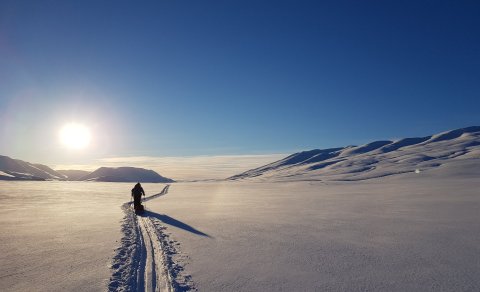 Gönguskíðaferð í Heiðarhús á Flateyjardal - fjögur laus pláss
