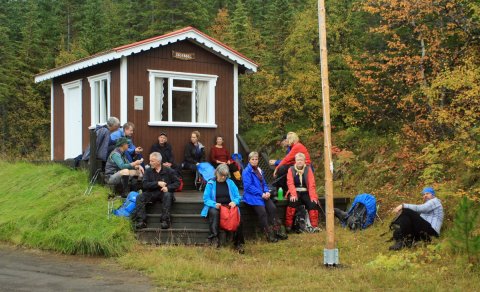 Geirasel í Fossselsskógi