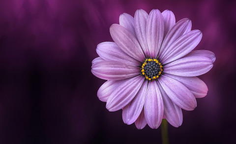 Opið hús fimmtudaginn 1. mars