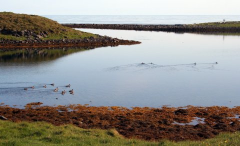 Ferðakynning Ferðafélags Akureyrar