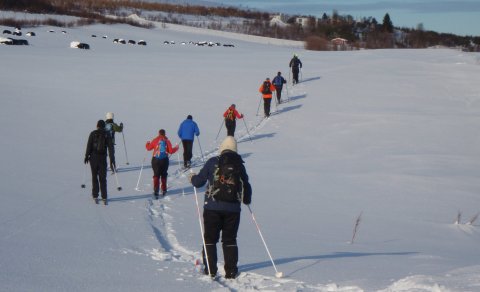 Næsta ferð 26. mars: Galmaströnd -gönguskíðaferð