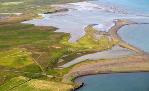 Ný ferð 8. júní: Fjölskylduferð í fjöruna við Gásir