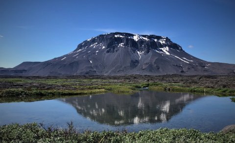 Næsta ferð 12. ágúst: Herðubreið - örfá sæti laus vegna forfalla
