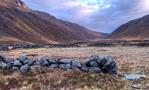 Næsta ferð 4. september: Barna- og fjölskylduferð. Hrossadalur-Haustferð