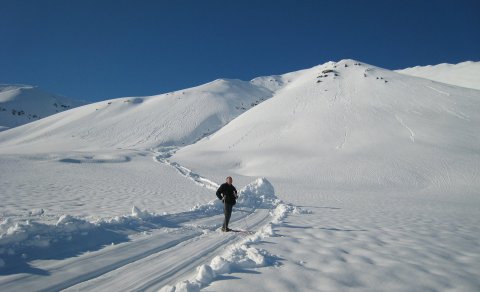 Næsta ferð 9. maí: Ytri-Árdalur - skíðaferð