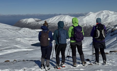 Fréttabréf FFA október 2025