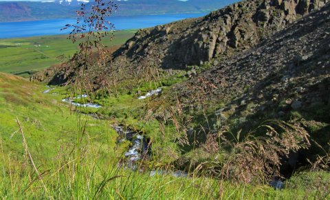 Fréttatilkynning - viðbótarferðir