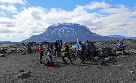 Fréttabréf FFA september 2024