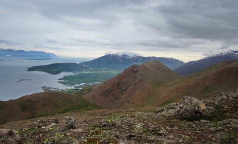 „Komdu út“ í íslenska sumarið