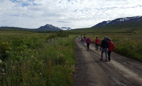 Gönguvika FFA í samvinnu við Akureyrarstofu: 20.-23. júlí